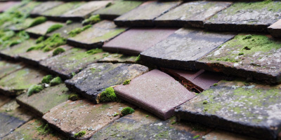 Maesybont roof repair costs